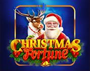 Christmas Fortune